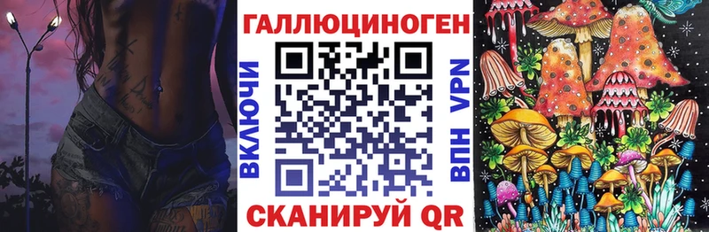Псилоцибиновые грибы Psilocybe  Зуевка 